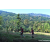Team 85 / Raid Amazones Sri Lanka 2023 - J6 Trail