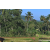 Team 79 / Raid Amazones Sri Lanka 2023 - J6 Trail