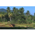 Team 79 / Raid Amazones Sri Lanka 2023 - J6 Trail