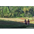 Team 79 / Raid Amazones Sri Lanka 2023 - J6 Trail
