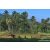 Team 68 / Raid Amazones Sri Lanka 2023 - J6 Trail