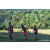Team 42 / Raid Amazones Sri Lanka 2023 - J6 Trail
