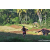 Team 42 / Raid Amazones Sri Lanka 2023 - J6 Trail