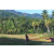 Team 17 / Raid Amazones Sri Lanka 2023 - J6 Trail