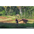 Team 48 / Raid Amazones Sri Lanka 2023 - J6 Trail