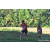 Team 336 / Raid Amazones Sri Lanka 2023 - J6 Trail