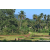 Team 314 / Raid Amazones Sri Lanka 2023 - J6 Trail
