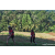 Team 314 / Raid Amazones Sri Lanka 2023 - J6 Trail