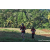 Team 89 / Raid Amazones Sri Lanka 2023 - J6 Trail