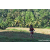 Team 89 / Raid Amazones Sri Lanka 2023 - J6 Trail