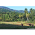 Team 307 / Raid Amazones Sri Lanka 2023 - J6 Trail