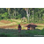 Team 307 / Raid Amazones Sri Lanka 2023 - J6 Trail