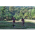 Team 307 / Raid Amazones Sri Lanka 2023 - J6 Trail