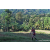 Team 307 / Raid Amazones Sri Lanka 2023 - J6 Trail