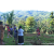 Team 307 / Raid Amazones Sri Lanka 2023 - J6 Trail