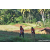 Team 39 / Raid Amazones Sri Lanka 2023 - J6 Trail