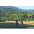 Team 39 / Raid Amazones Sri Lanka 2023 - J6 Trail
