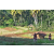 Team 70 / Raid Amazones Sri Lanka 2023 - J6 Trail