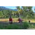 Team 303 / Raid Amazones Sri Lanka 2023 - J6 Trail