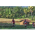 Team 21 / Raid Amazones Sri Lanka 2023 - J6 Trail