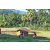 Team 60 / Raid Amazones Sri Lanka 2023 - J6 Trail