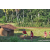 Team 27 / Raid Amazones Sri Lanka 2023 - J6 Trail
