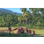 Team 28 / Raid Amazones Sri Lanka 2023 - J6 Trail