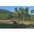 Team 30 / Raid Amazones Sri Lanka 2023 - J6 Trail
