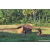 Team 30 / Raid Amazones Sri Lanka 2023 - J6 Trail