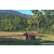 Team 30 / Raid Amazones Sri Lanka 2023 - J6 Trail