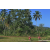 Team 309 / Raid Amazones Sri Lanka 2023 - J6 Trail