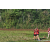 Team 309 / Raid Amazones Sri Lanka 2023 - J6 Trail
