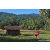 Team 309 / Raid Amazones Sri Lanka 2023 - J6 Trail