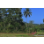 Team 86 / Raid Amazones Sri Lanka 2023 - J6 Trail