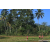 Team 28 / Raid Amazones Sri Lanka 2023 - J6 Trail