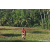Team 28 / Raid Amazones Sri Lanka 2023 - J6 Trail