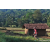 Team 28 / Raid Amazones Sri Lanka 2023 - J6 Trail
