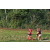 Team 52 / Raid Amazones Sri Lanka 2023 - J6 Trail