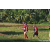 Team 52 / Raid Amazones Sri Lanka 2023 - J6 Trail