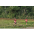 Team 02 / Raid Amazones Sri Lanka 2023 - J6 Trail