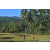 Team 02 / Raid Amazones Sri Lanka 2023 - J6 Trail