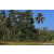 Team 71 / Raid Amazones Sri Lanka 2023 - J6 Trail