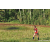 Team 71 / Raid Amazones Sri Lanka 2023 - J6 Trail