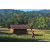 Team 71 / Raid Amazones Sri Lanka 2023 - J6 Trail