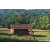Team 71 / Raid Amazones Sri Lanka 2023 - J6 Trail