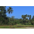 Team 09 / Raid Amazones Sri Lanka 2023 - J6 Trail