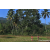 Team 09 / Raid Amazones Sri Lanka 2023 - J6 Trail