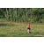 Team 19 / Raid Amazones Sri Lanka 2023 - J6 Trail