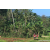 Team 66 / Raid Amazones Sri Lanka 2023 - J6 Trail