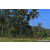 Team 66 / Raid Amazones Sri Lanka 2023 - J6 Trail